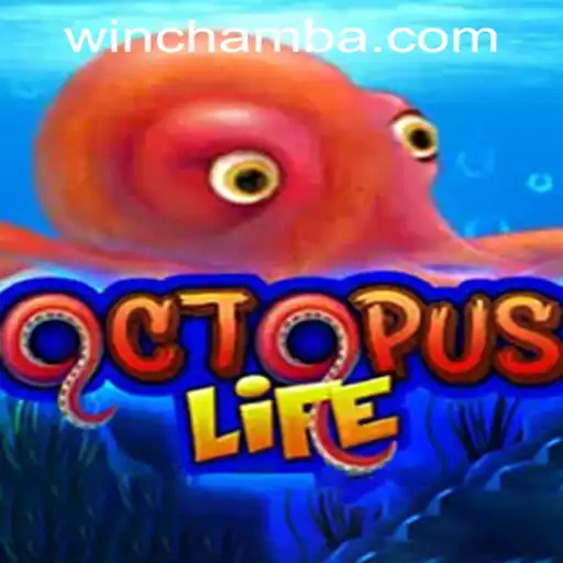 Discovering OctopusLife: Dive into an Underwater Adventure with CHAMBAWIN.COM